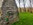 IMG 20200307 132136508 HDR